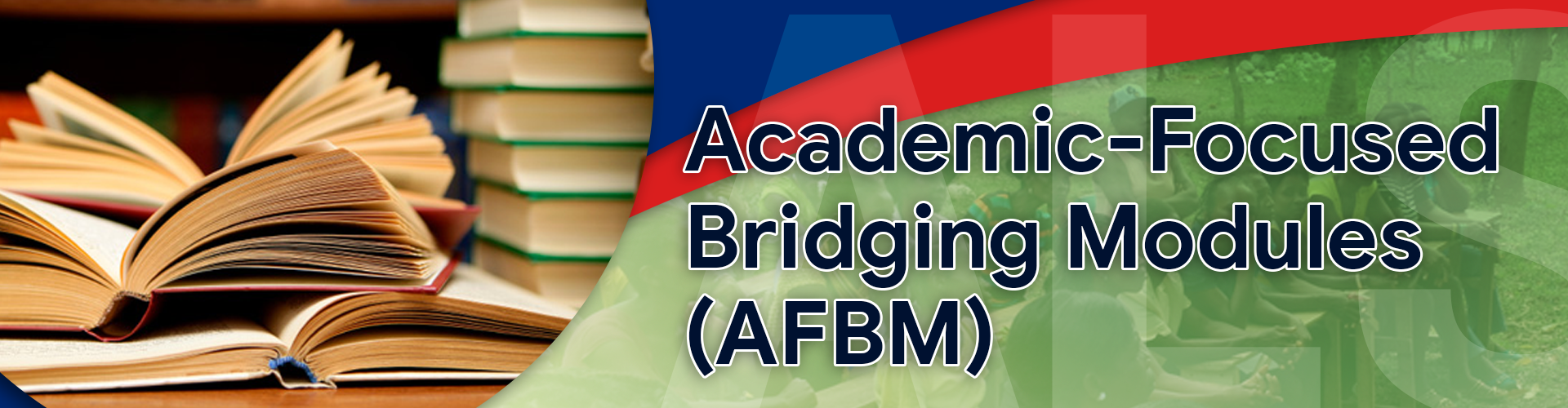 A&E Academic-Focused Bridging Modules (AFBM)